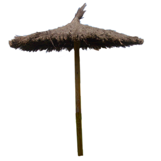 Sombrilla de brezo